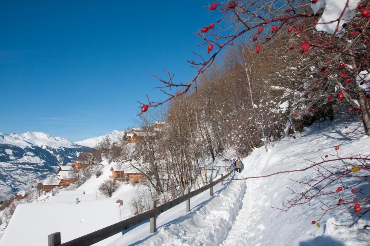 Greppons COSY&MOUNTAIN apartments by Alpvision Résidences Veysonnaz Esterno foto