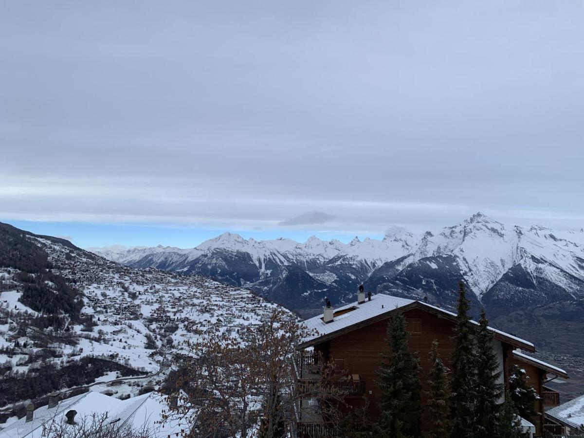 Greppons COSY&MOUNTAIN apartments by Alpvision Résidences Veysonnaz Esterno foto